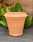 Herb Natural Pot