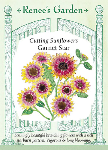 Sunflower Garnet Star Seeds