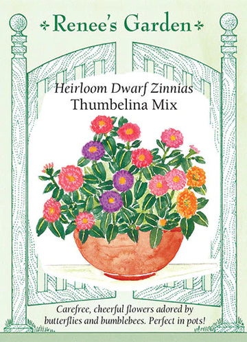 Zinnia Thumbelina Dwarf Mix Seeds
