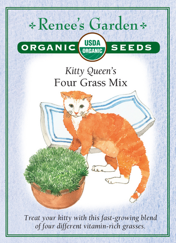 Cat Grass Kitty Queen Mix All Natural Seeds