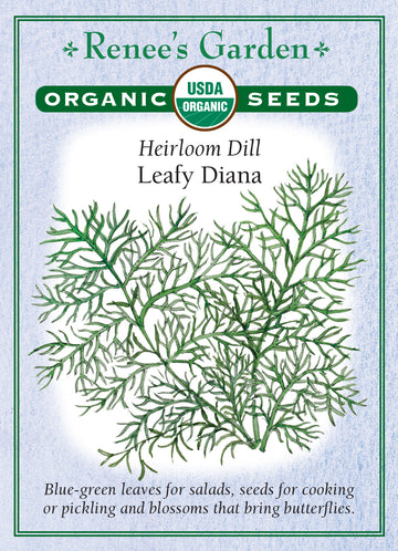 Dill Leafy Diana All Natural Seeds