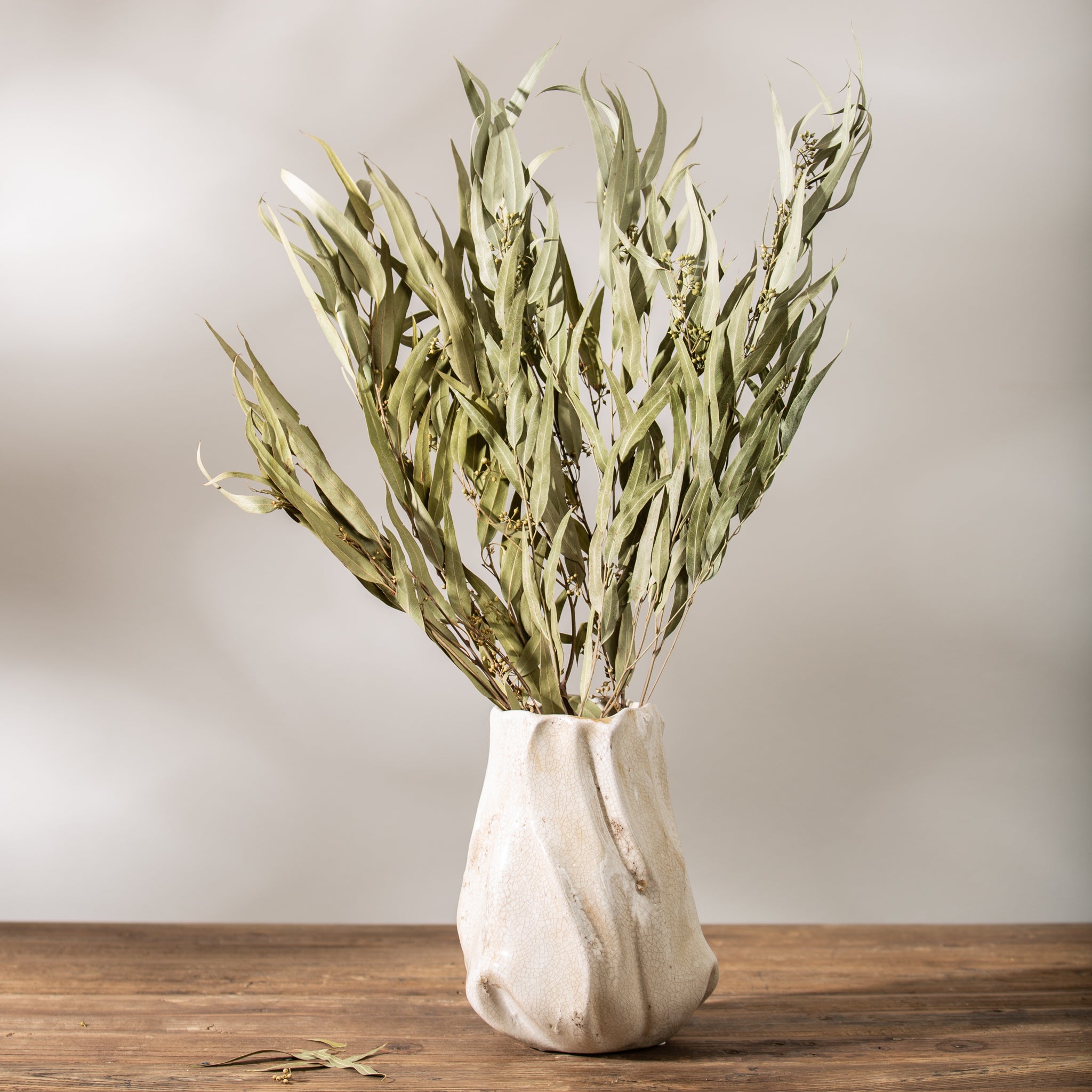 Preserved Eucalyptus, Willow Seeded, Dark Green Dried Florals by  BLOOMINGFUL FLOWERS