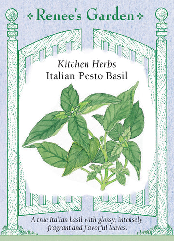Basil Italian Pesto Seeds
