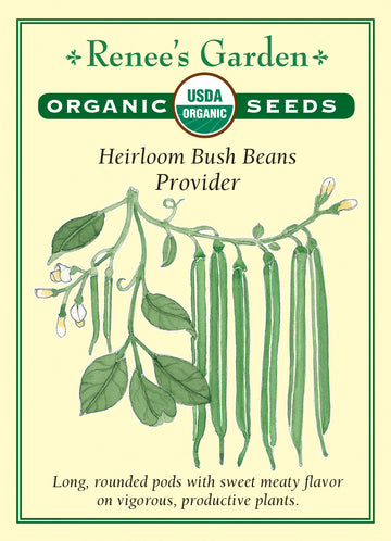 Bean Bush Provider All Natural Seeds