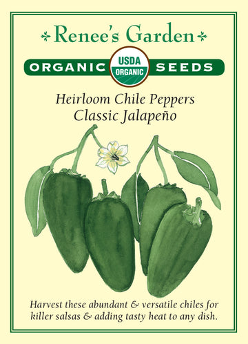 Pepper Chile Jalapeno All Natural Seeds