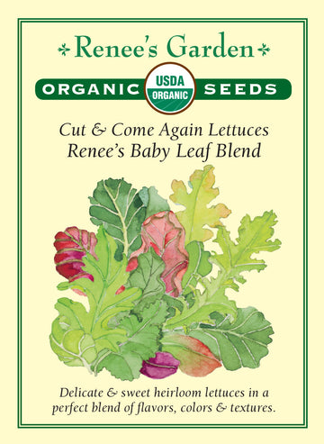 Lettuce Renee's Special Baby Leaf All Natural Seeds