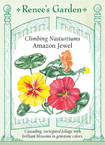 Nasturtium Amazon Jewel Climbing Seeds