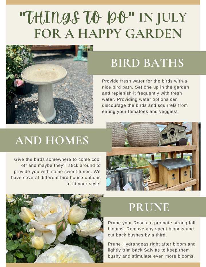 Things to do in July for a Happy Garden