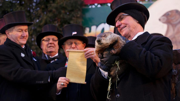 A Whimsical Tale of Groundhog Day!