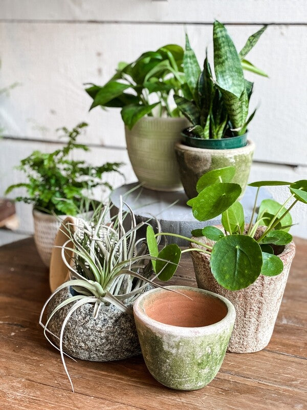 Planters + Pottery