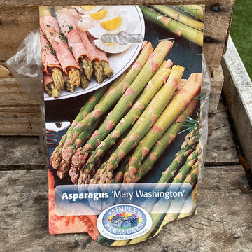 Asparagus - Mary Washington Bulbs