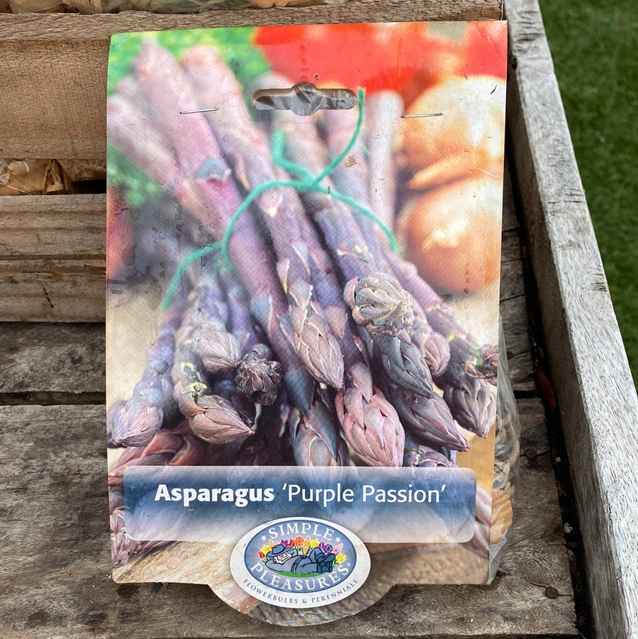 Asparagus - Purple Passion Bulbs