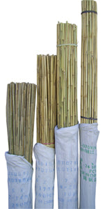 Bamboo Stake 6'