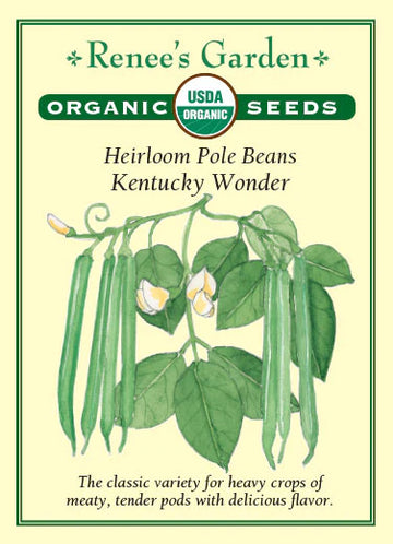 Bean Pole Kentucky Wonder All Natural Seeds