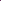 Calibrachoa - Conga Purple Star