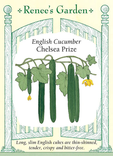 Cucumber Chelsea Prize Seeds