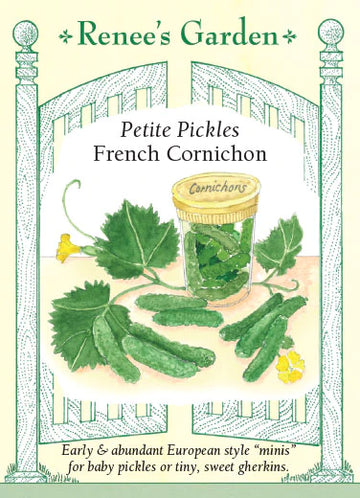 Cucumber Petite Pickles Cornichon Seeds