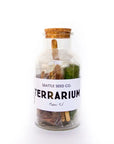 DIY Terrarium Kit