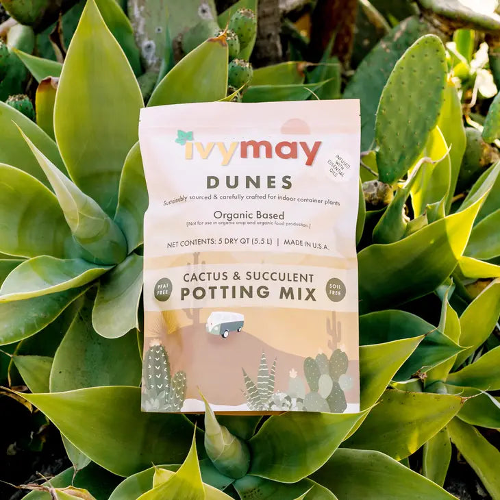 Dunes Cactus and Succulent Potting Mix 5 qt