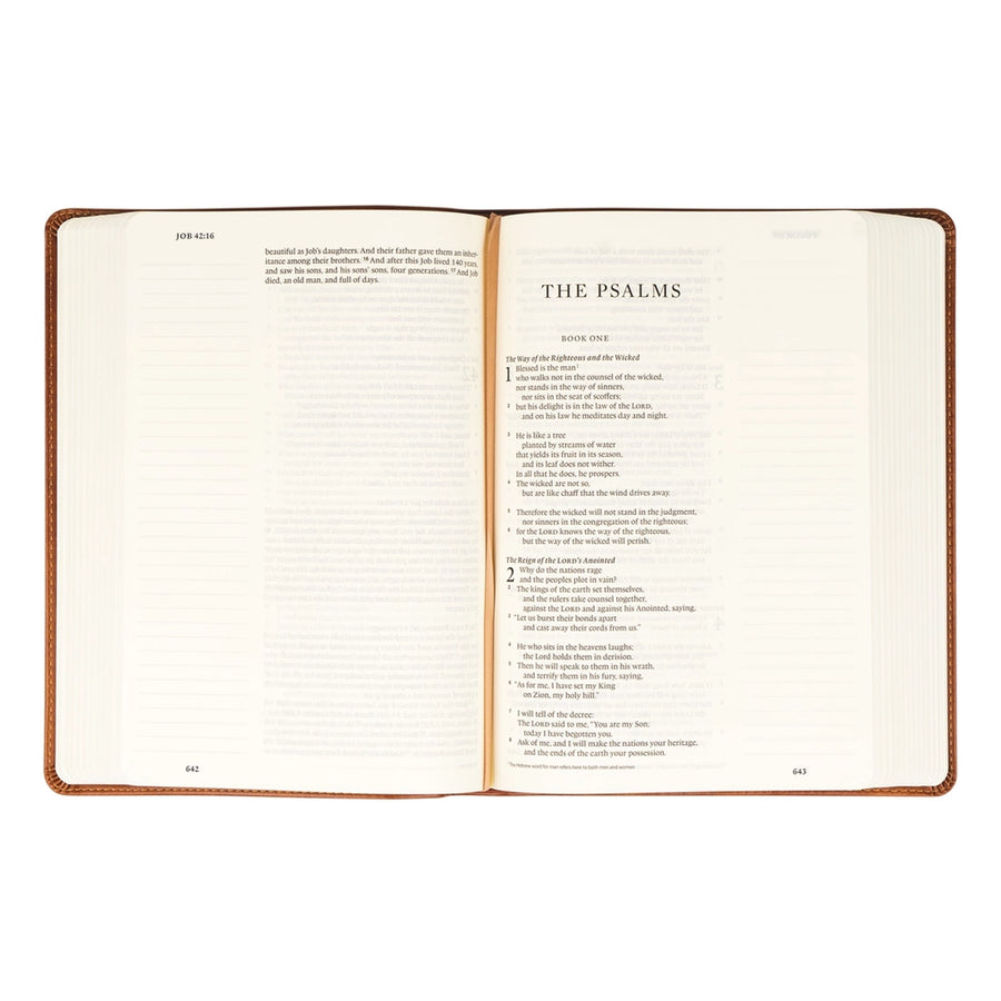 ESV Large Print Journaling Bible - Sierra Theme