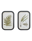 Framed Wall Décor With Fern Fronds