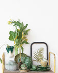 Framed Wall Décor With Fern Fronds