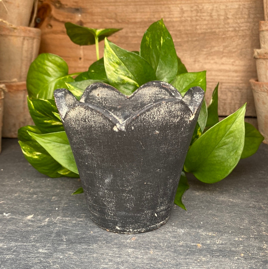 Herb Charcoal Pot