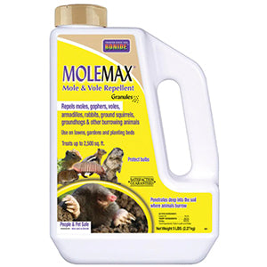 Mole Max