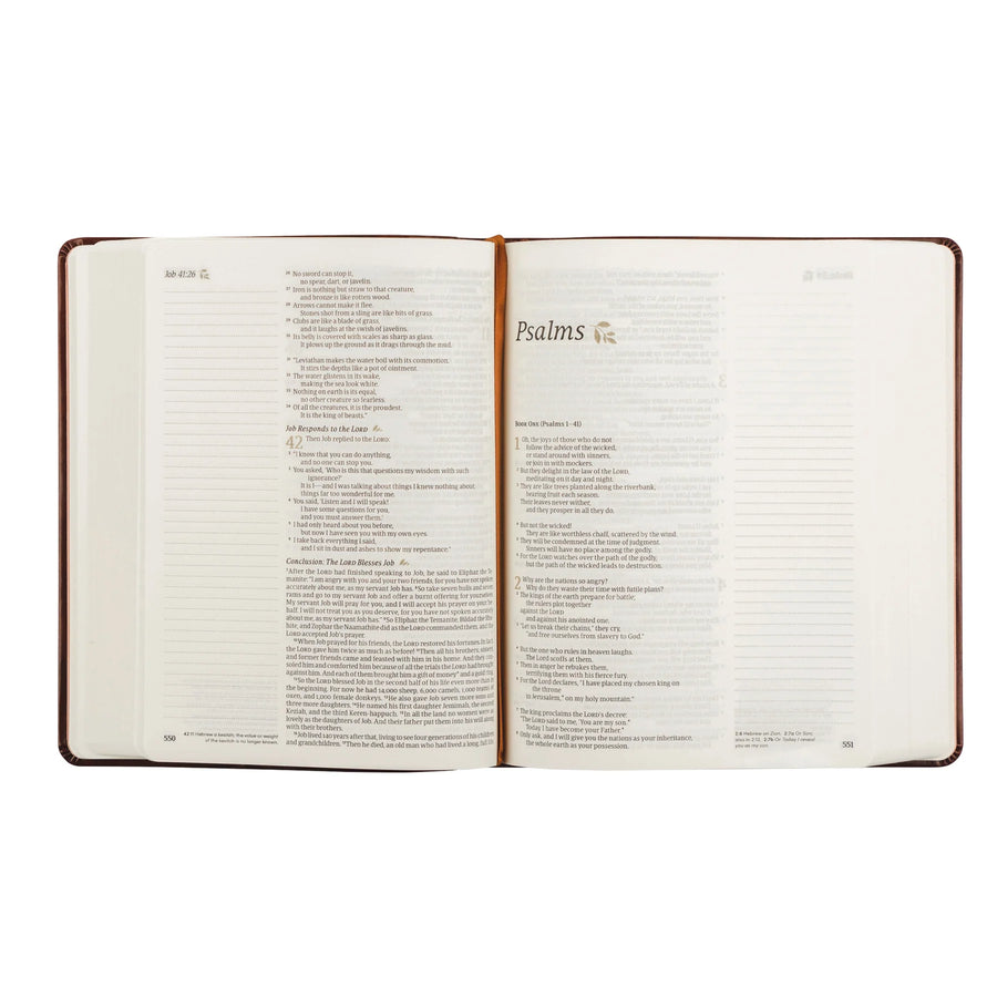 NLT Notetaking Bible - Santa Elena Theme
