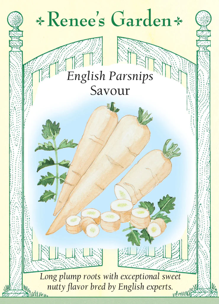 Parsnip English Savour Seeds