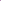 Phlox - Early Lavender Pop
