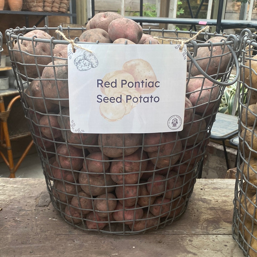 Potatoes - Red Pontiac
