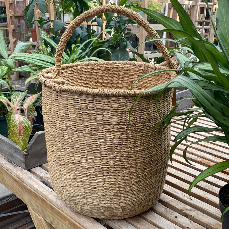 Round Hand Woven Seagrass Basket w Handle 15 3/4"