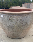 Rounded Rim Parco Planter Heirloom White
