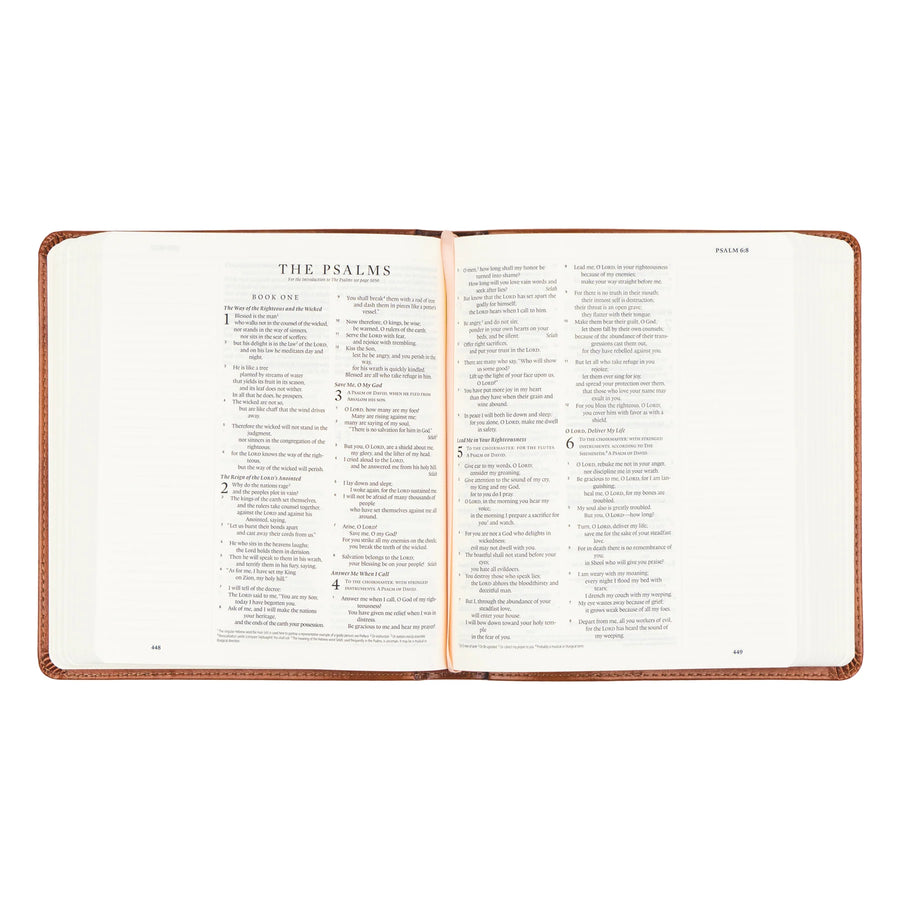 Sierra ESV Journaling Bible