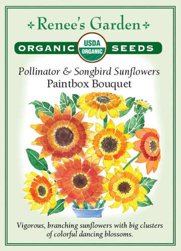 Sunflower Paintbox Bouquet Seeds