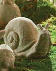 Weathered Garden Snail
