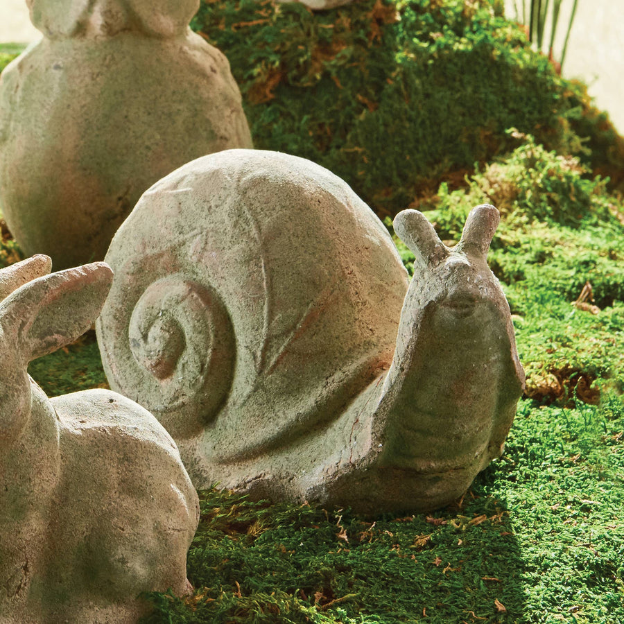Weathered Garden Snail