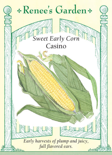 Corn Casino Yellow Seeds