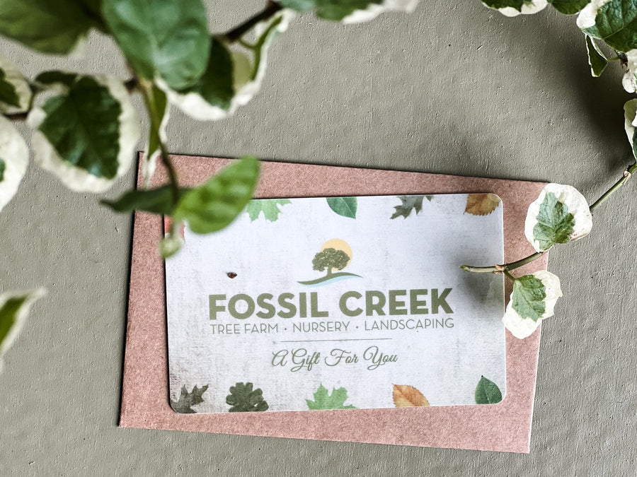 Fossil Creek Tree Farm Gift Card