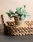 Handwoven Seagrass Tray w Handles