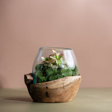 Glass and Natural Wood Vase