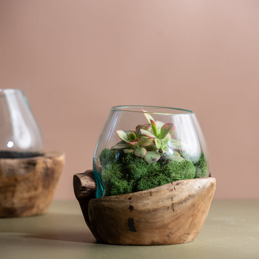 Glass and Natural Wood Vase