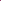Dianthus - Jolt Pink Magic