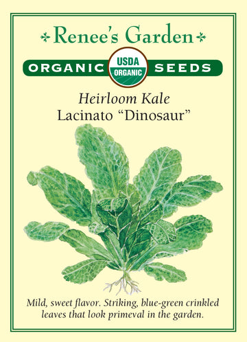 Kale Lacinato Dinosaur All Natural Seeds