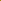 Magellan Yellow Zinnia