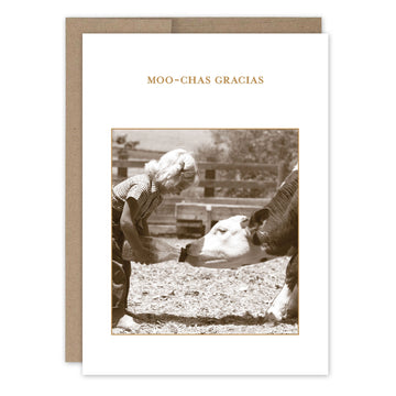 Moo Chas Gracias Thank You Card