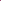 African Daisy - 4D Purple