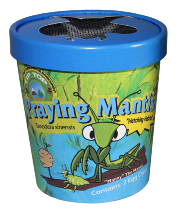 Praying Mantis Container