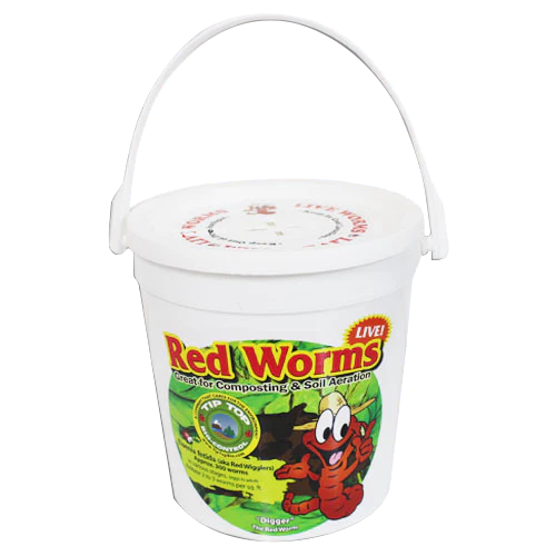 Red Worms Container